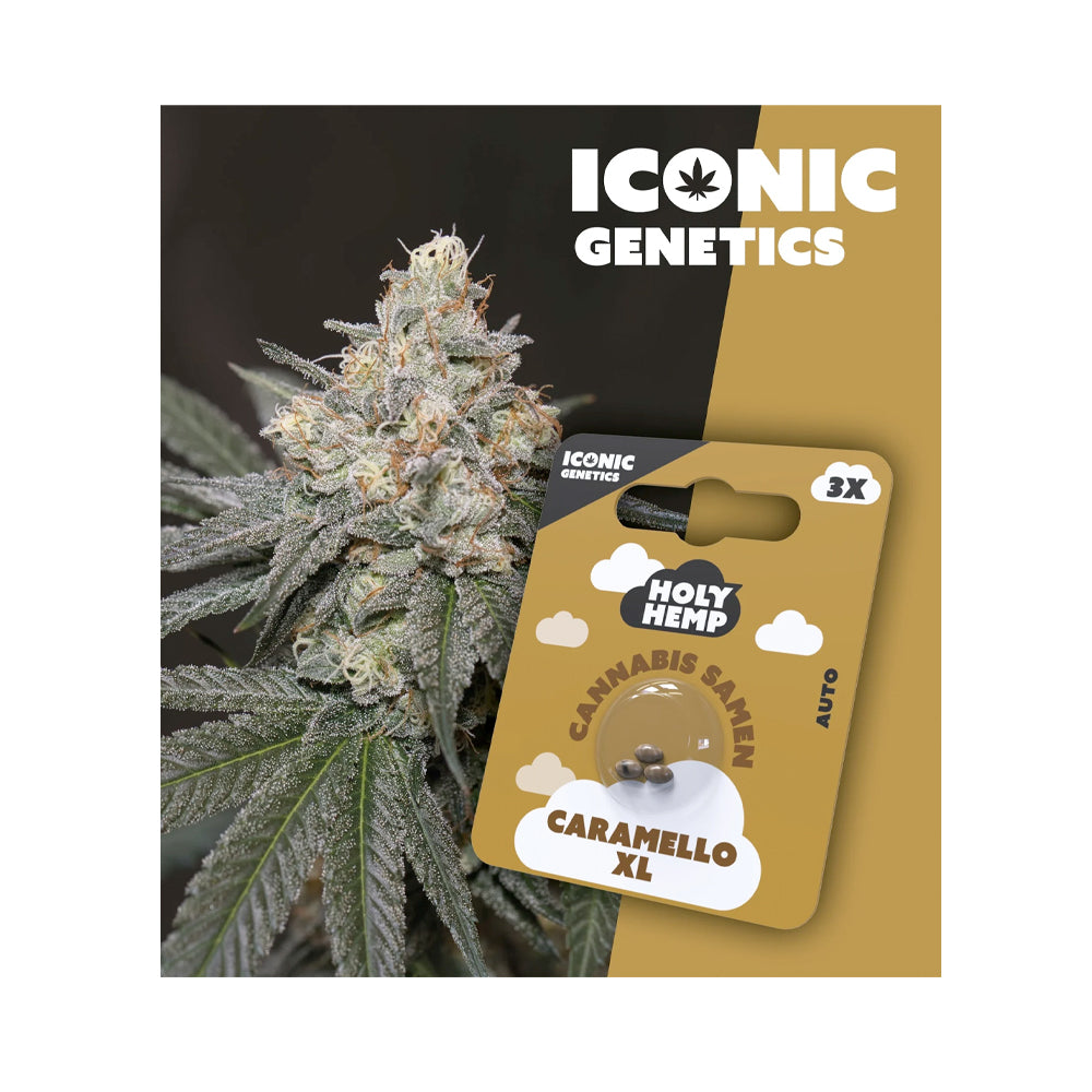 Caramello XL